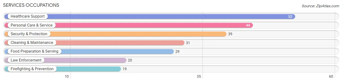 Services Occupations in Zip Code 13797