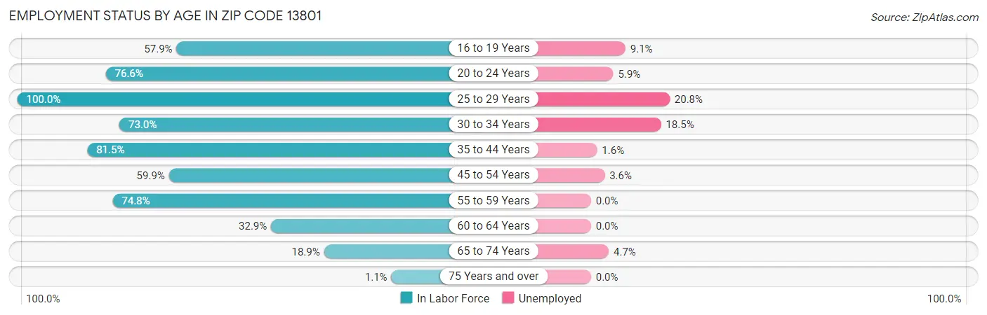 Employment Status by Age in Zip Code 13801
