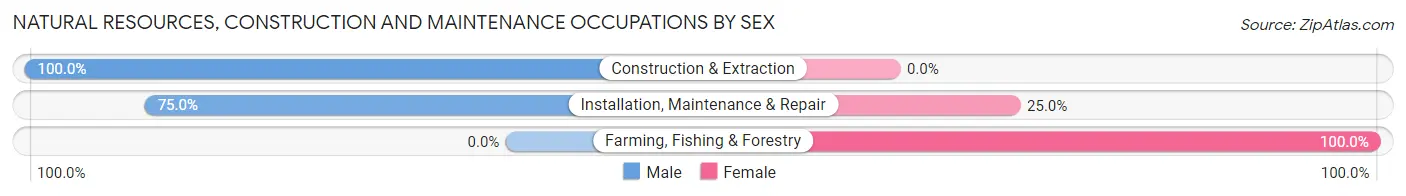 Natural Resources, Construction and Maintenance Occupations by Sex in Zip Code 13801