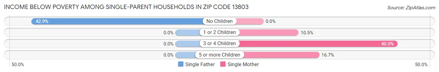 Income Below Poverty Among Single-Parent Households in Zip Code 13803