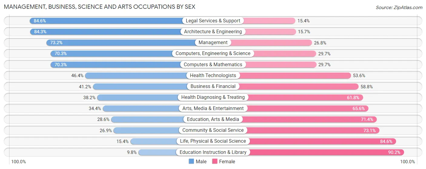 Management, Business, Science and Arts Occupations by Sex in Zip Code 13803