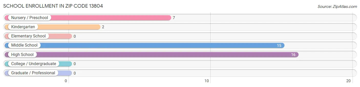 School Enrollment in Zip Code 13804