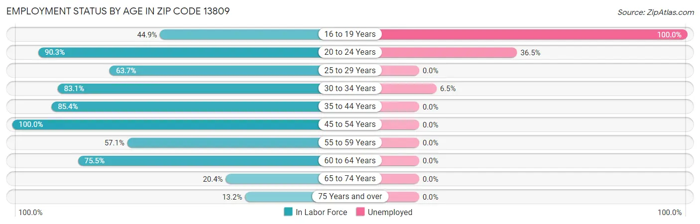 Employment Status by Age in Zip Code 13809