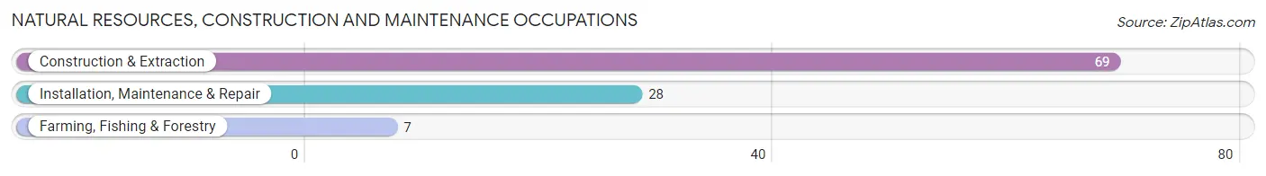 Natural Resources, Construction and Maintenance Occupations in Zip Code 13810