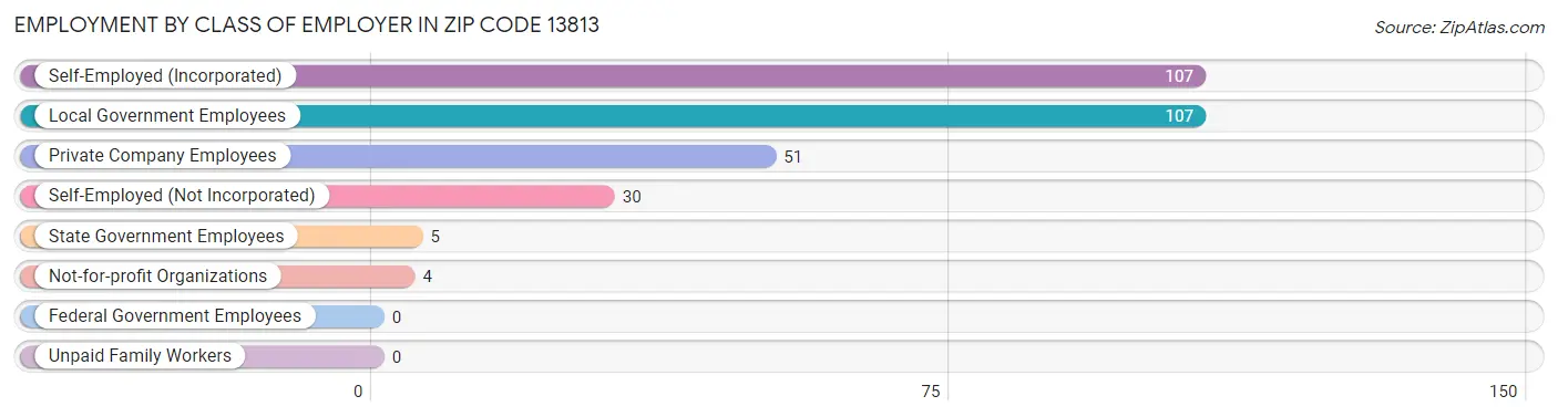 Employment by Class of Employer in Zip Code 13813