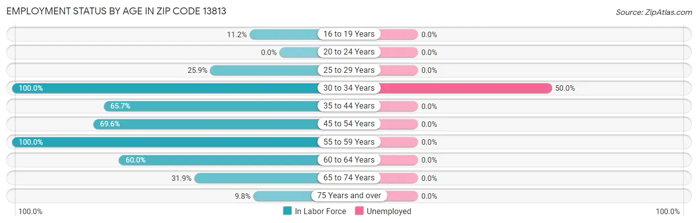 Employment Status by Age in Zip Code 13813