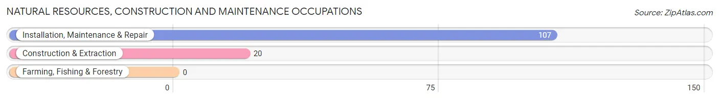 Natural Resources, Construction and Maintenance Occupations in Zip Code 13813