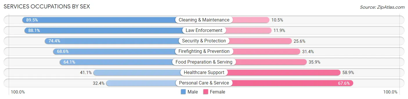 Services Occupations by Sex in Zip Code 13820