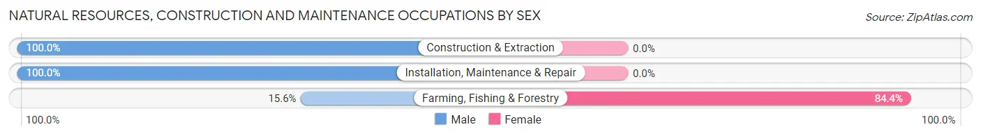 Natural Resources, Construction and Maintenance Occupations by Sex in Zip Code 13827