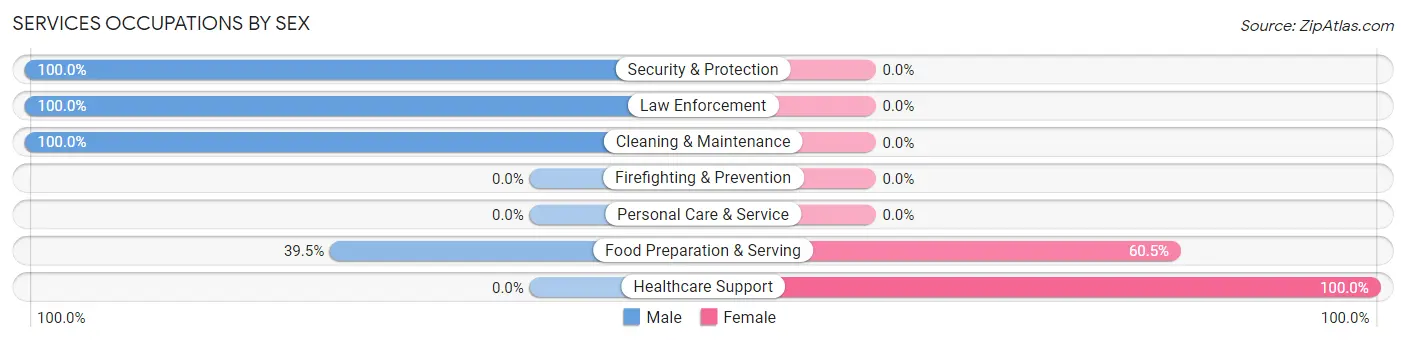 Services Occupations by Sex in Zip Code 13843