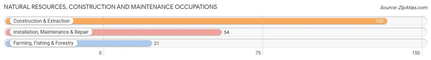 Natural Resources, Construction and Maintenance Occupations in Zip Code 13849