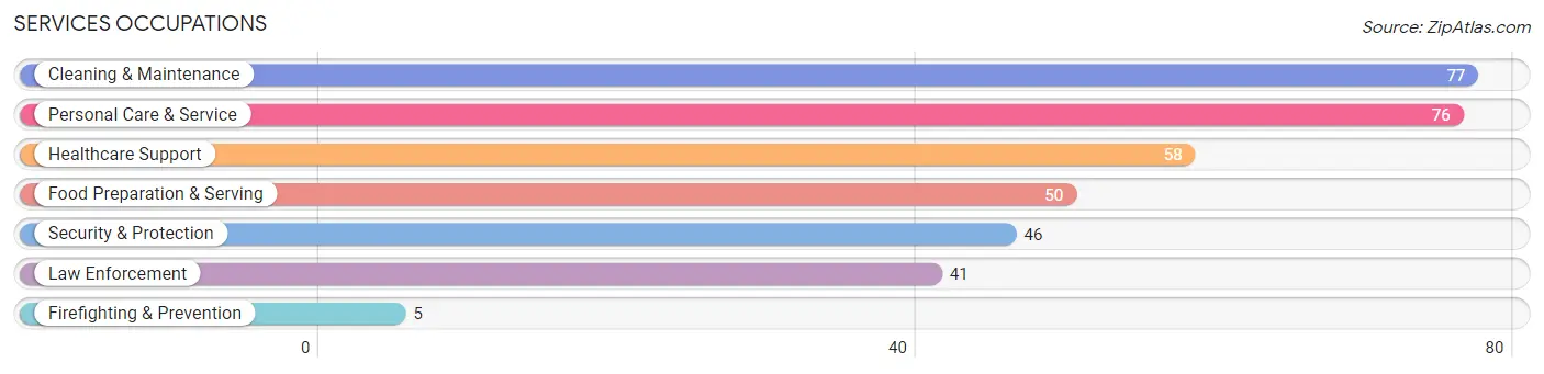 Services Occupations in Zip Code 13849