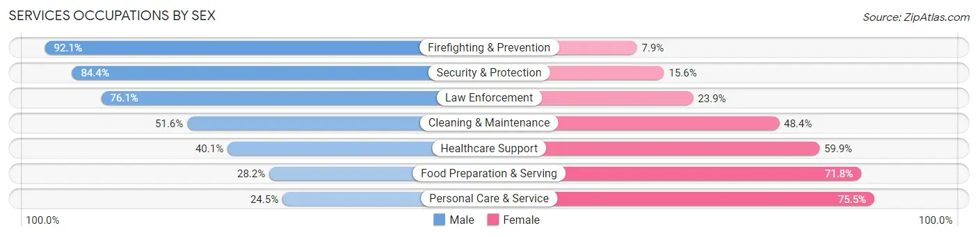 Services Occupations by Sex in Zip Code 13850