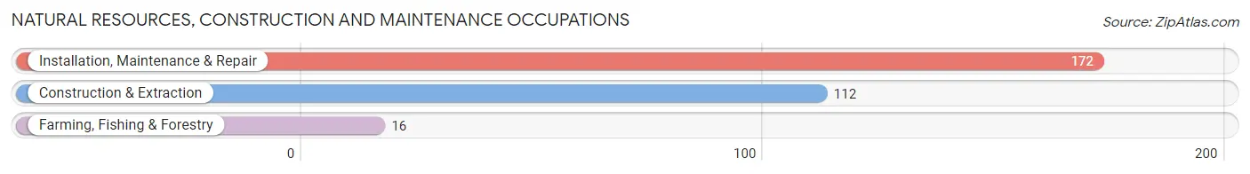 Natural Resources, Construction and Maintenance Occupations in Zip Code 13856