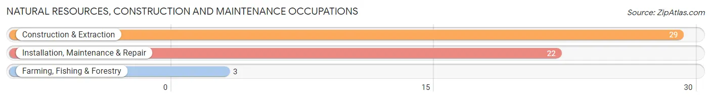 Natural Resources, Construction and Maintenance Occupations in Zip Code 13863