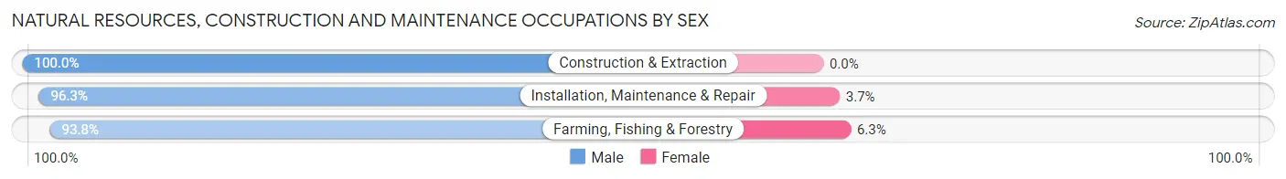 Natural Resources, Construction and Maintenance Occupations by Sex in Zip Code 14020