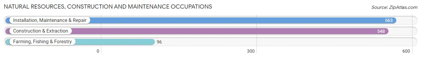 Natural Resources, Construction and Maintenance Occupations in Zip Code 14020