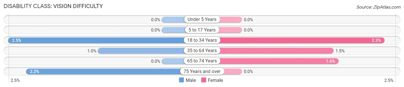 Disability in Zip Code 14032: <span>Vision Difficulty</span>