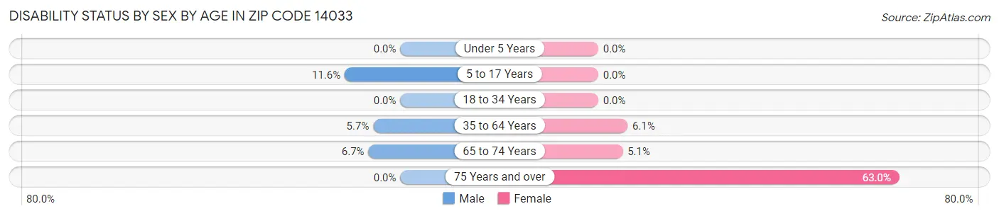 Disability Status by Sex by Age in Zip Code 14033