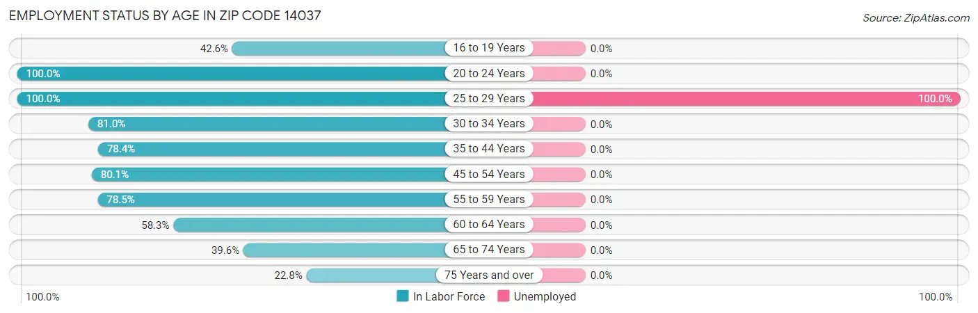 Employment Status by Age in Zip Code 14037