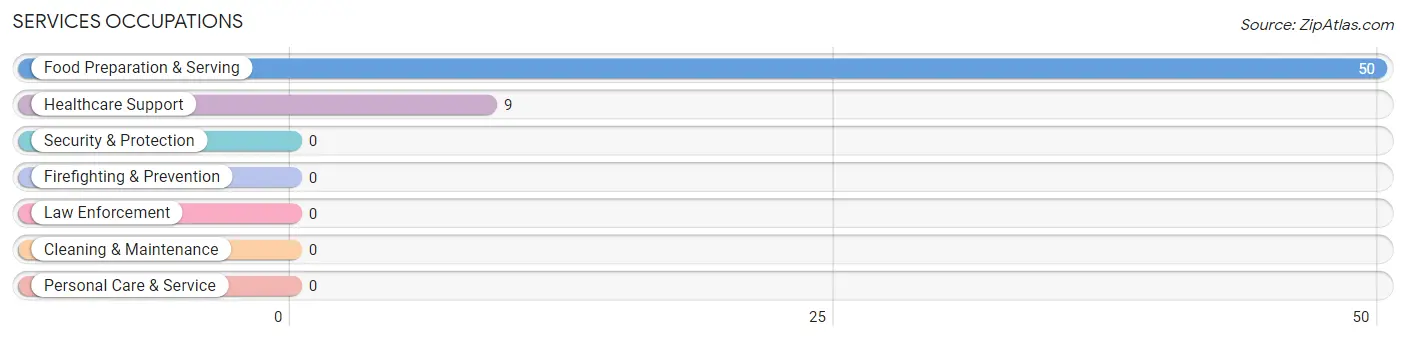 Services Occupations in Zip Code 14037