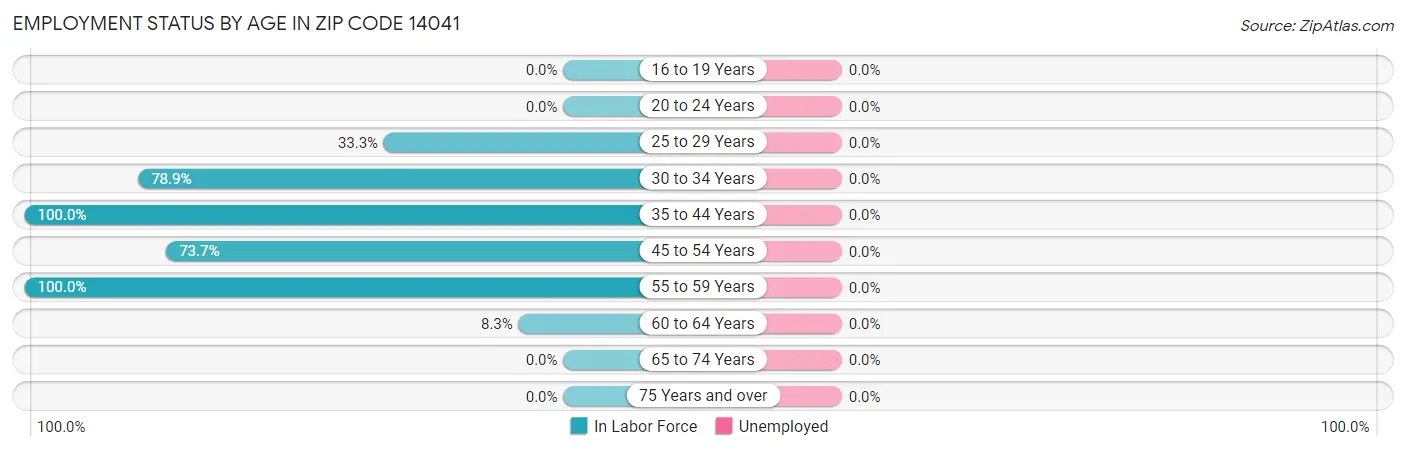 Employment Status by Age in Zip Code 14041