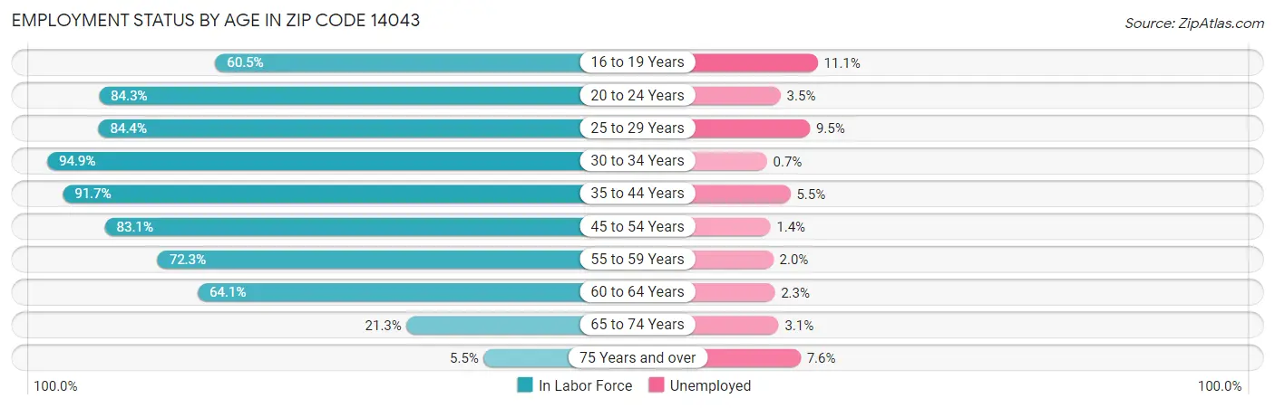 Employment Status by Age in Zip Code 14043