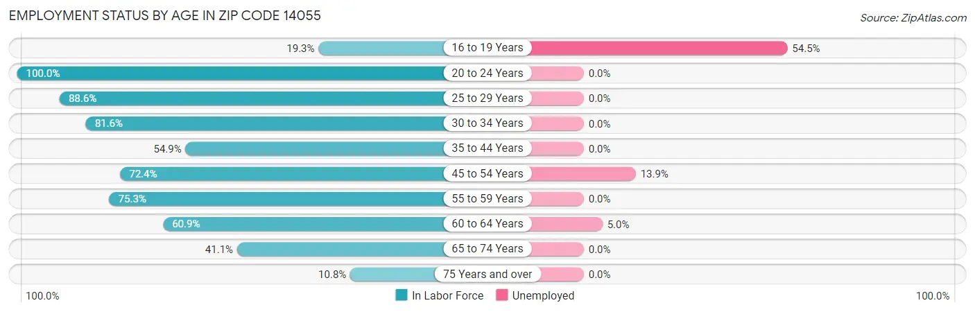 Employment Status by Age in Zip Code 14055