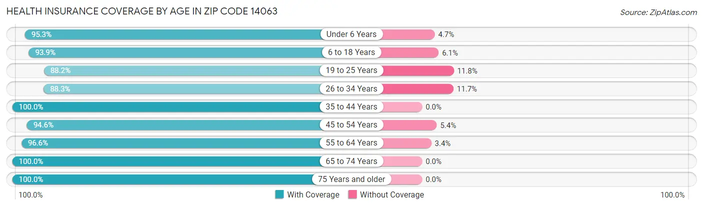 Health Insurance Coverage by Age in Zip Code 14063