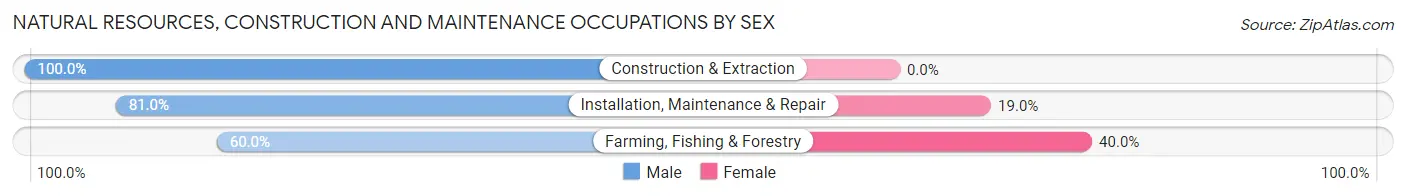 Natural Resources, Construction and Maintenance Occupations by Sex in Zip Code 14063