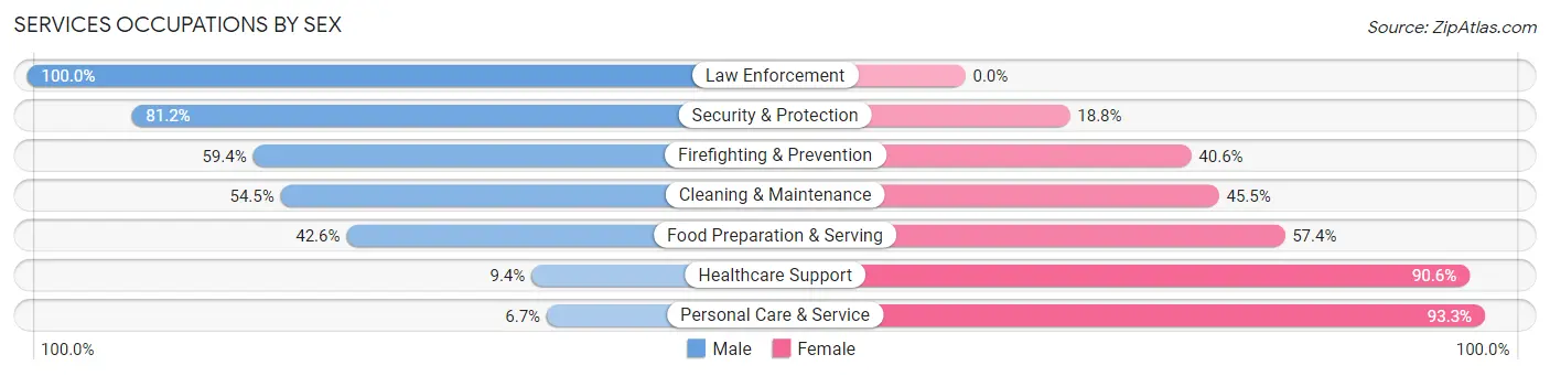 Services Occupations by Sex in Zip Code 14063