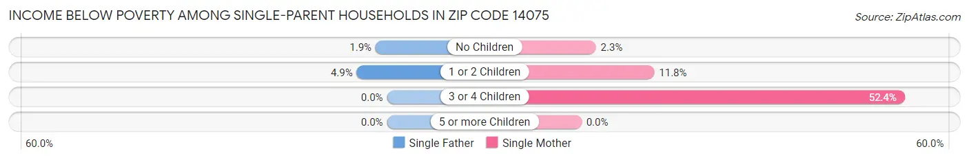 Income Below Poverty Among Single-Parent Households in Zip Code 14075