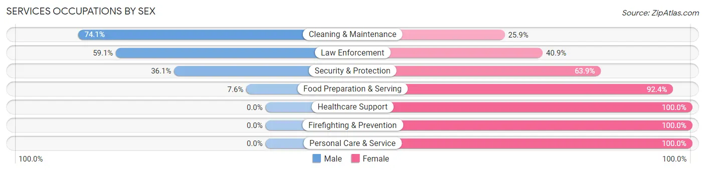 Services Occupations by Sex in Zip Code 14101