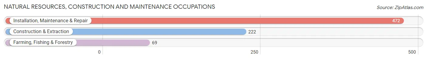 Natural Resources, Construction and Maintenance Occupations in Zip Code 14103