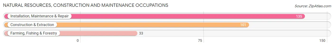 Natural Resources, Construction and Maintenance Occupations in Zip Code 14105