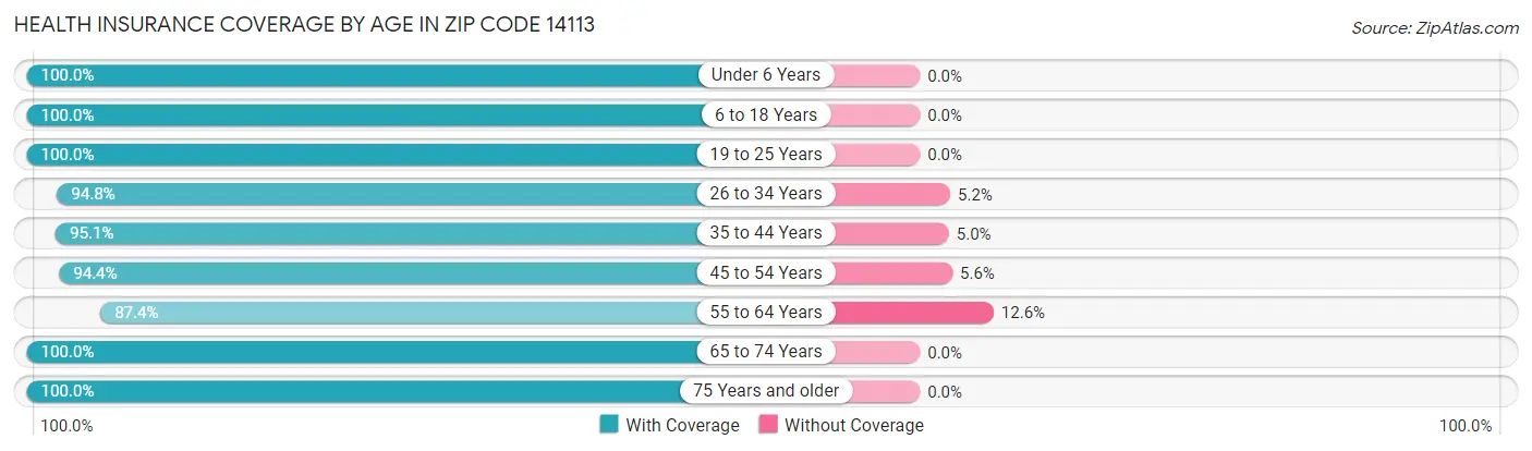 Health Insurance Coverage by Age in Zip Code 14113