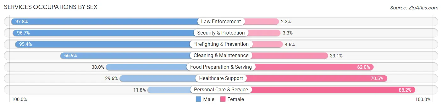 Services Occupations by Sex in Zip Code 14120