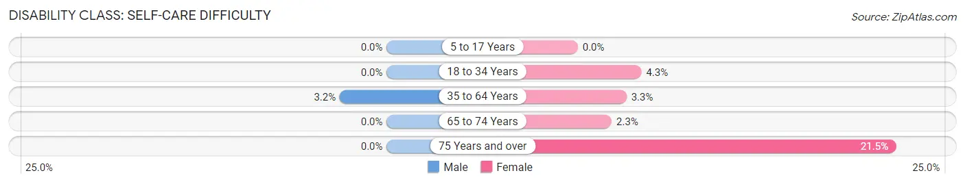 Disability in Zip Code 14138: <span>Self-Care Difficulty</span>