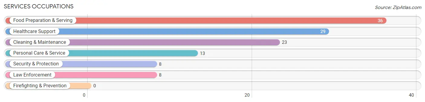 Services Occupations in Zip Code 14138