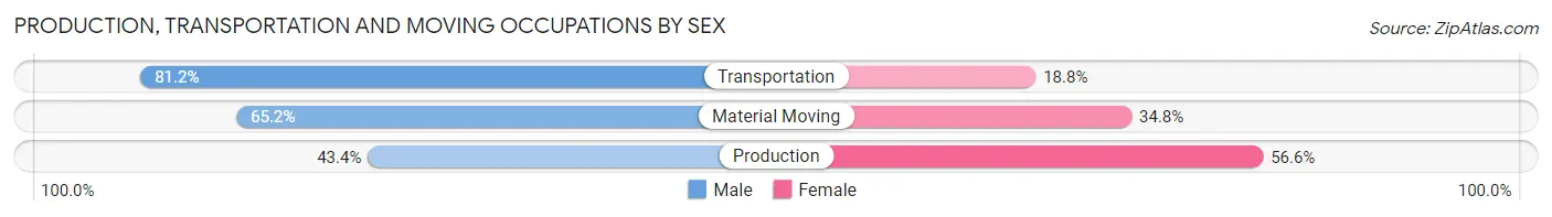 Production, Transportation and Moving Occupations by Sex in Zip Code 14204