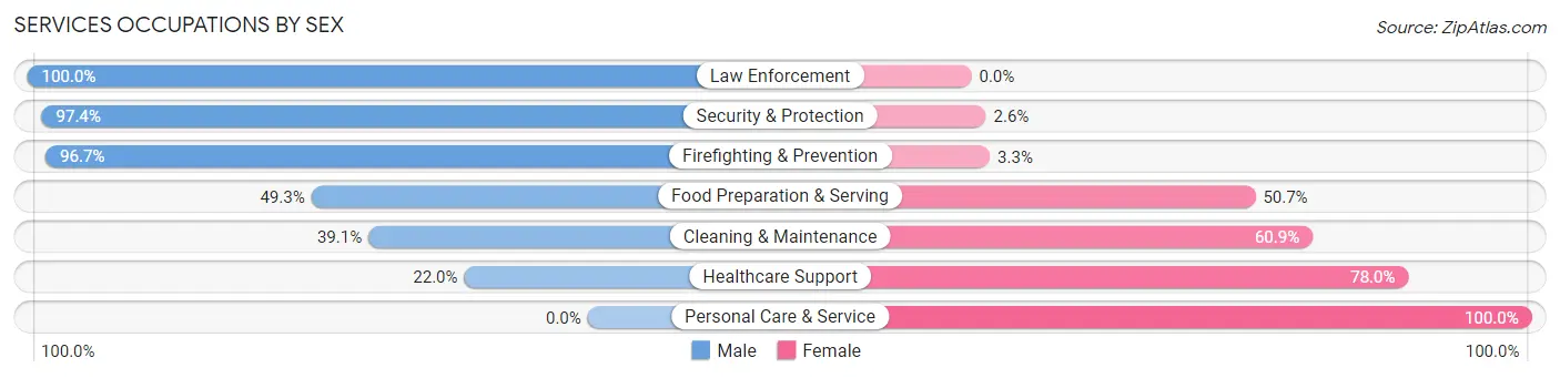 Services Occupations by Sex in Zip Code 14210