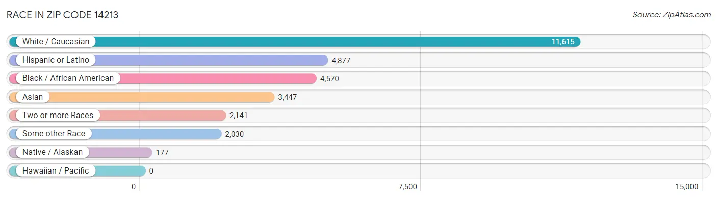 Race in Zip Code 14213