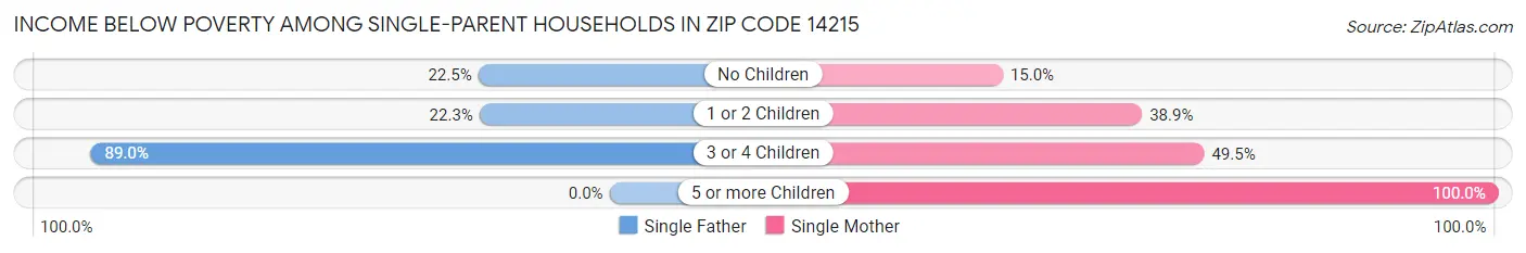 Income Below Poverty Among Single-Parent Households in Zip Code 14215