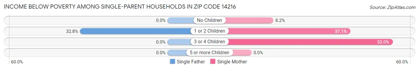 Income Below Poverty Among Single-Parent Households in Zip Code 14216