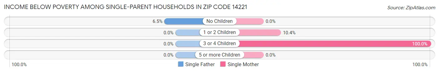 Income Below Poverty Among Single-Parent Households in Zip Code 14221