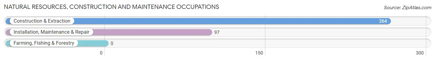 Natural Resources, Construction and Maintenance Occupations in Zip Code 14222