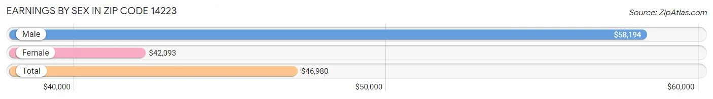 Earnings by Sex in Zip Code 14223