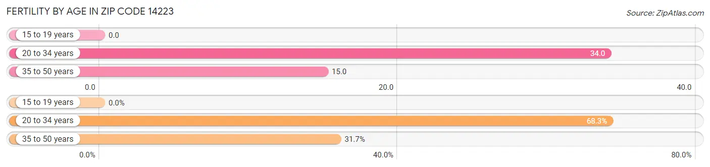 Female Fertility by Age in Zip Code 14223