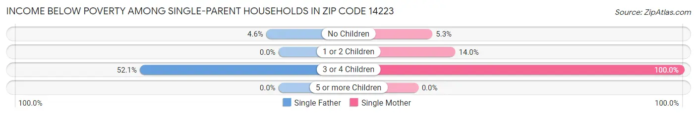 Income Below Poverty Among Single-Parent Households in Zip Code 14223