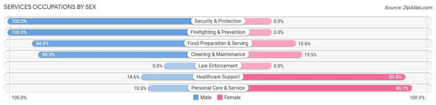 Services Occupations by Sex in Zip Code 14303